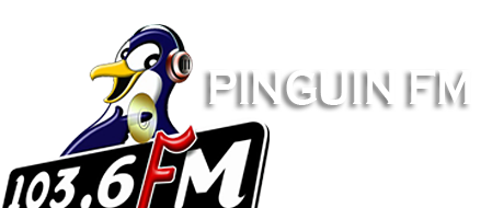 Pinguin Fm Bali